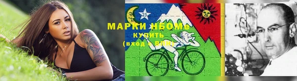 дживик Новодвинск