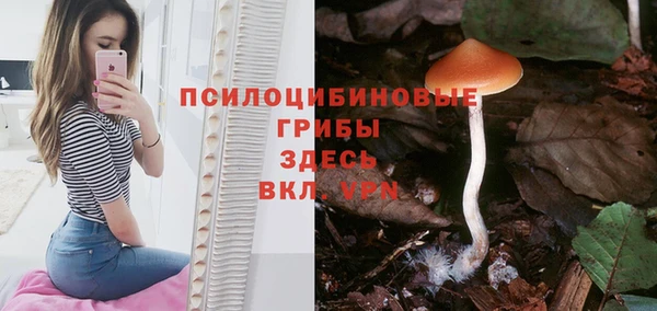 марихуана Новозыбков